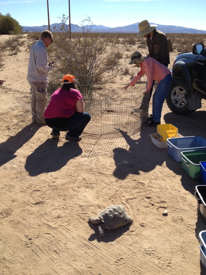 DESCO attends Twenty-third Desert Tortoise Council Fall Workshop